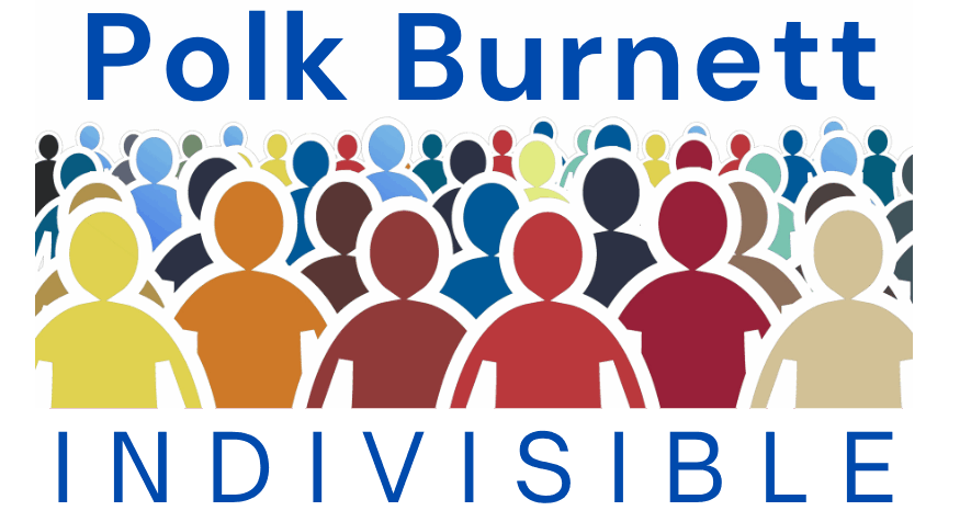 POLK BURNETT INDIVISIBLE
